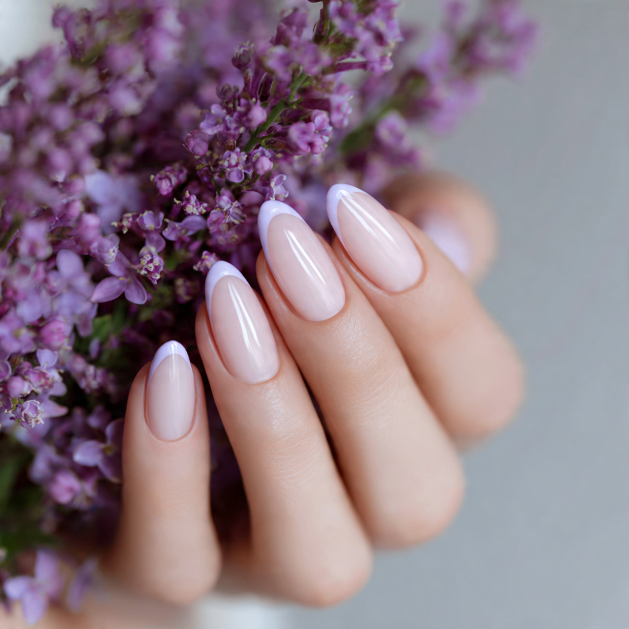 Soft Lavender Dream